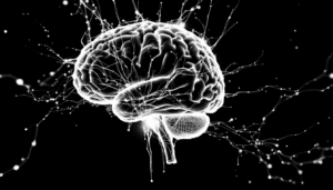 A glowing, white digital illustration of a human brain with neural connections extending outward on a black background, symbolizing connectivity, cognitive function, and brain activity.