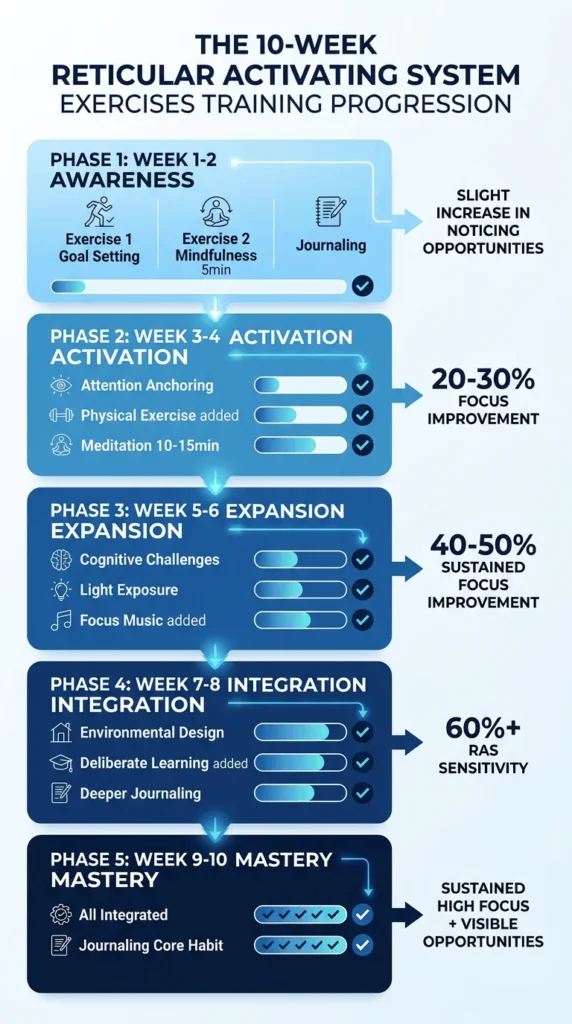 Infographic outlining a 10-week training program for the Reticular Activating System with four phases: Awareness, Activation, Expansion, and Integration, featuring targeted Reticular Activating System exercises for mastery and sustained high focus.